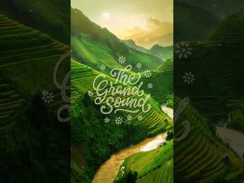 Richard Bass – Heavenly (Volere Remix) #shorts