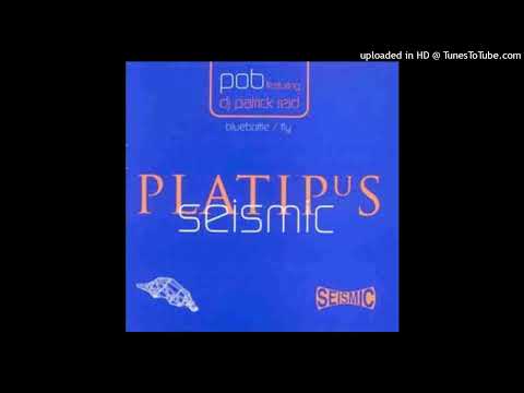 POB feat. Patrick Reid – Bluebottle (Original Mix)