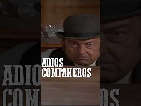 Adios Compañeros #shorts #trailer