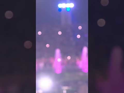 How much firework do you want? Me: yes #shorts #tomorrowland