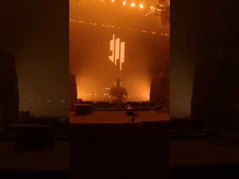 Skrillex takeover at Lollapalooza 🔥