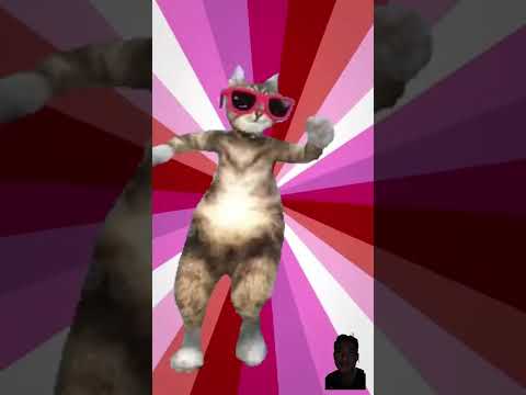 #cat #puppycat #funny #pets #dog #puppy #doglover #dance #catlover #animal