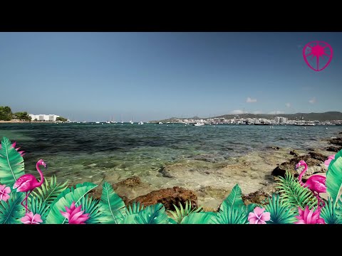 Hedkandi Virtual Session : Hawker Beach Club @ Axel Beach Hotel