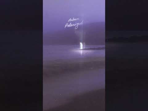 ‘Polarized’ – Arbour’s first ever EP with Chillhop is here 🌦️