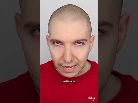 Nikocado Avocado: Then vs Now