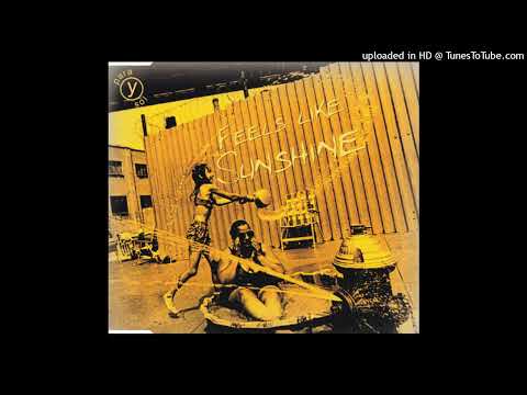 Y Para Sol – Feels Like Sunshine (Solar Vocal)