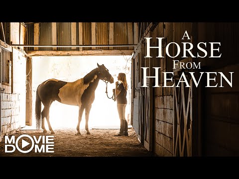 A Horse from Heaven – (wonderful Family-Horse-Movie) – Watch the Full Movie for free on Moviedome UK