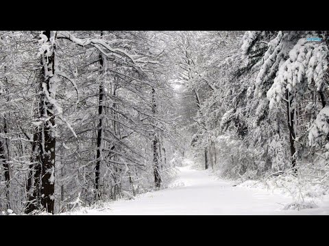 Trance Classics In The Mix – Part 11/20 'Blizzard'