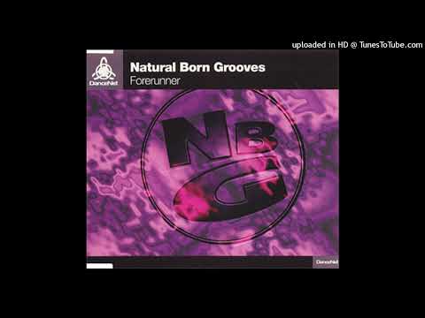 Natural Born Grooves – Forerunner (Experts Remix)