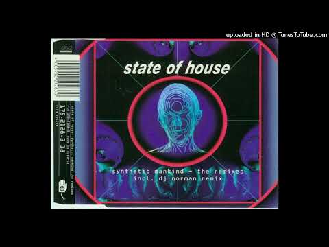 State Of House – Synthetic Mankind (DJ Norman Remix)
