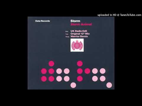 Storm – Stormanimal (Lexy & K-Paul Sturmstaerke 12” Remix)
