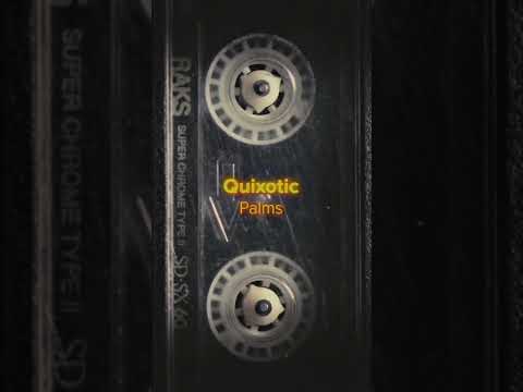 Quixotic – Palms #newretrowave #music #synthwave  #flashback  #retro  #music  #dancemusic