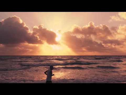 Timecop1983 – Dreams (feat. Dana Jean Phoenix) Miami footage