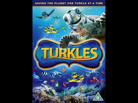 Turkles | Fun Family Movie | Haley Sicard | Noah Centineo