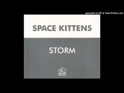 Space Kittens – Storm (Kittens 96 Mix)