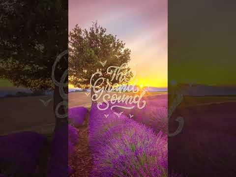 rshand – Falling In Reverse #shorts