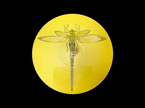 Hallucinogen – Alpha Centauri (1994)