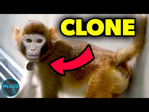 Top 30 Biggest Scientific Discoveries of the Decade