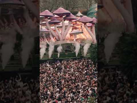 Incredible moments at Tomorrowland Brasil