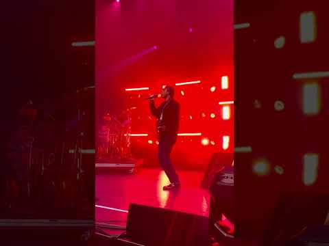 (Live)🔥Sunset The Midnight🔥@themidnightofficial