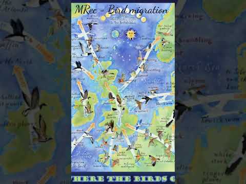 MRec – Bird migration (classic trancevibe @TranceClassicsOfficial Armin van Buuren ASOT Radio – Topic