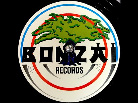 Push – Universal Nation (1998)