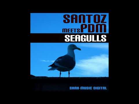 Santoz meets PDM – Seagulls (Santoz Original Mix) (2006)