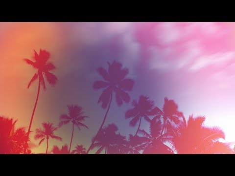 The Midnight – WeMoveForward (Talamanca Remix) [Silk Music]