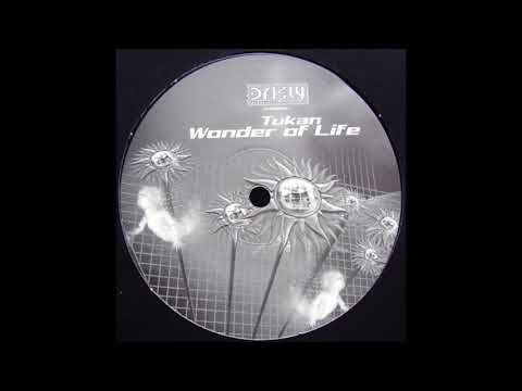 Tukan – Wonder Of Life (F&W Remix) (2003)