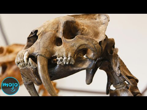 Top 10 TERRIFYING Extinct Animals