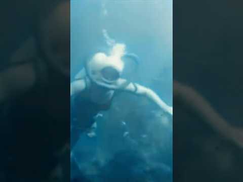Caption this?! Roger Corman loves an underwater scene 🎬 Monster from the Ocean Floor (1954)