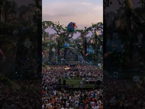 Moments to cherish forever. Watch the One Year Movie now. #tomorrowland #electronicmusic
