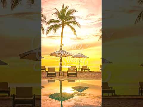 DOMPOON & Coastlines – Breathless #shorts