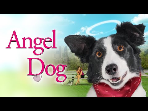 Angel Dog | Heartwarming Story About How a Dog Saves A Grieving Man | Jon Michael Davis, Farah White