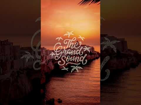 Nipika – Dance With Me (Pouls3n Remix) #shorts