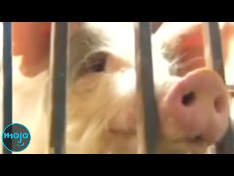 Top 10 Worst Things McDonald’s Has Ever Done