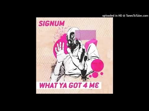 Signum – What Ya Got 4 Me? (Mellow D Remix)