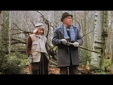 1988 Drama – The Christmas Wife – A widower does not want to face his first Christmas alone