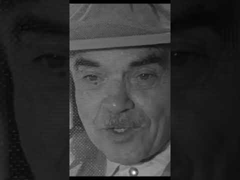Just relax and sleep #film #horrormovies #movie #retro #moviescene #filmnoir