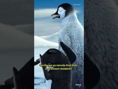 Trump Imposes Tariffs On The Penguins