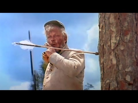 1955 Western – Yellowneck – American Civil War film directed by R. John Hugh