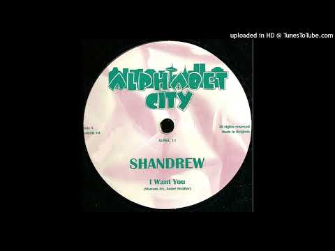 Shandrew – I Want You (Future Breeze Mix)