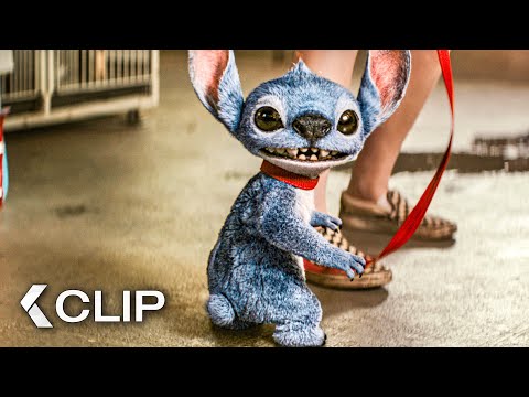 Lilo Adopts Stitch From The Animal Shelter Scene – LILO & STITCH (2025)