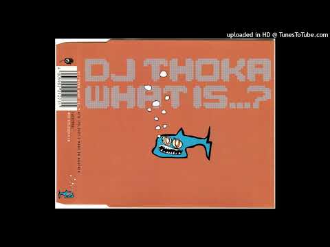DJ Thoka – What Is…? (Radio Edit)