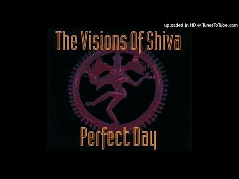 The Visions Of Shiva – Perfect Day