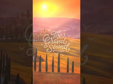 Deni Sunrise – Letting Go #shorts