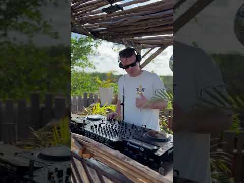 Grooving beats at the jungle #dj #ephimeratulum