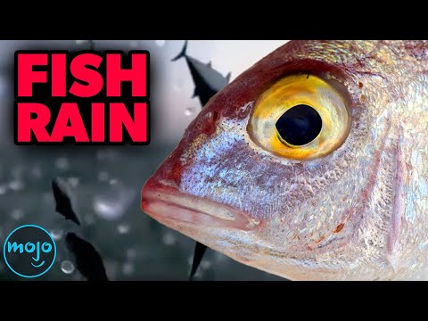 10 Creepy Science Mysteries That No One Can Explain