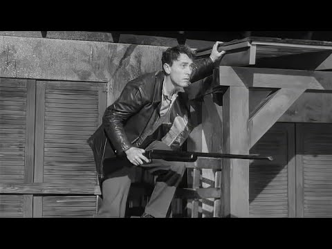 B-Movie Masterclass : The Killer Shrews – Film Review by Jason Ney