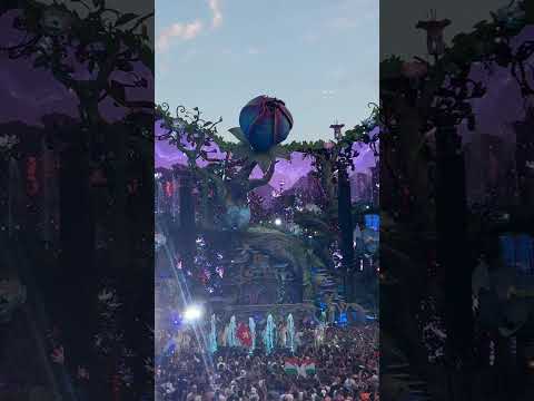 It’s almost time for Tomorrowland Belgium 2025.